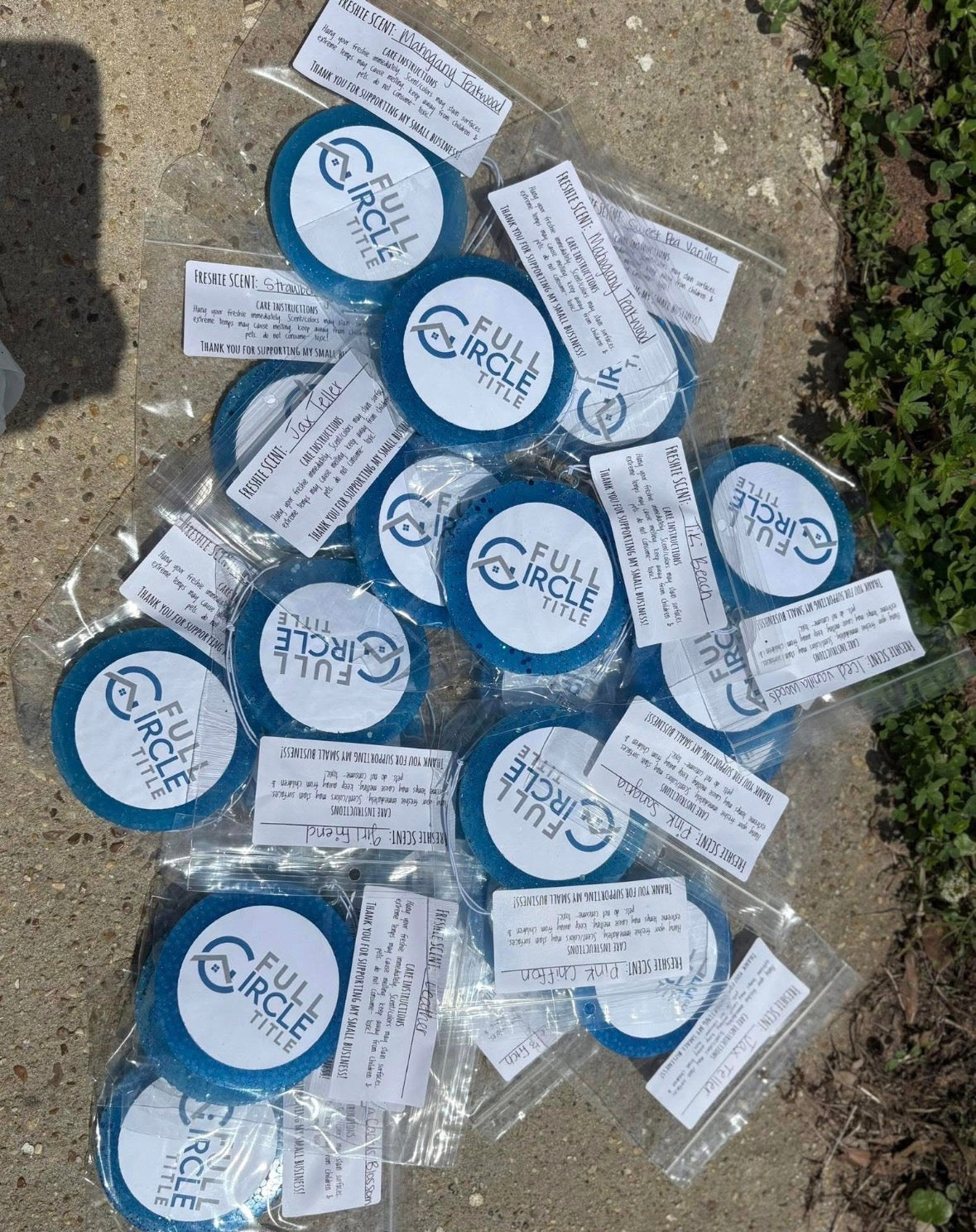 Logo freshies