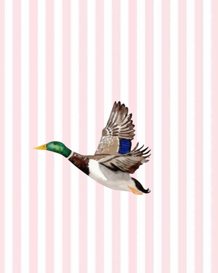 Duck with stripes cardstock round