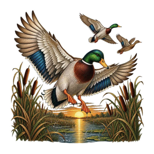 Ducks